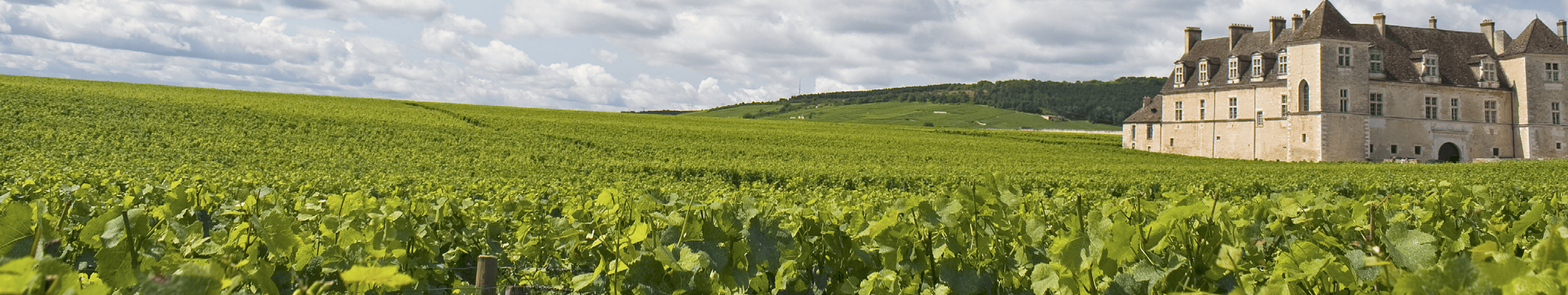 Banner Bijzondere vakantiehuisjes Belgie